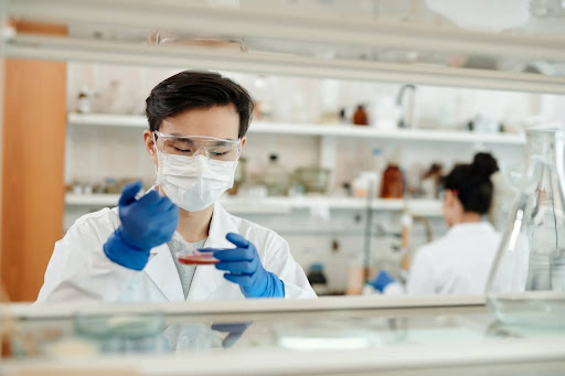 A medical researcher experimenting on a sample of human tissue